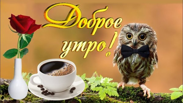 Поздравление с понедельником
