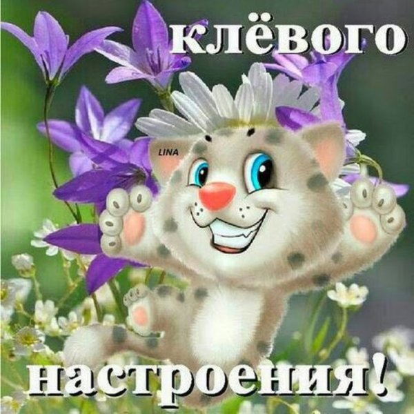 С добрым утром вторника