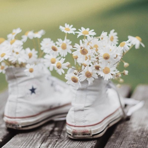 Ромашки в ботинках