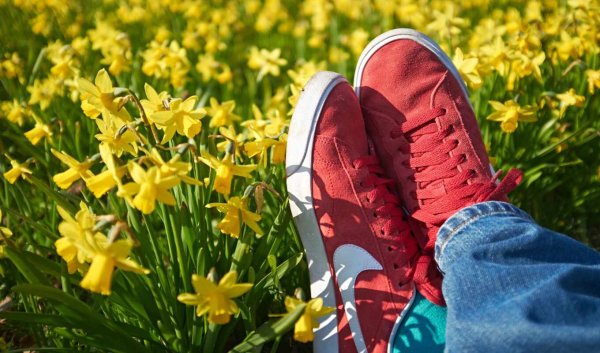 Цветы в кедах фото