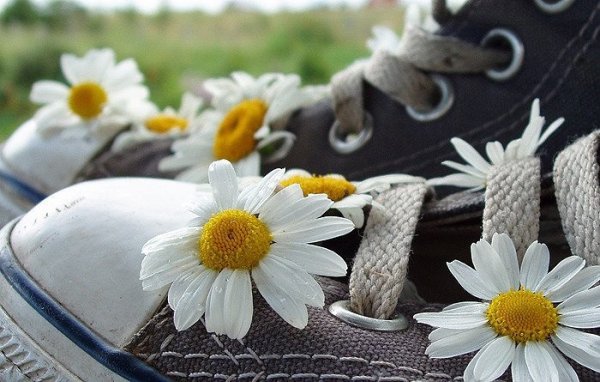 Цветы в кроссовке