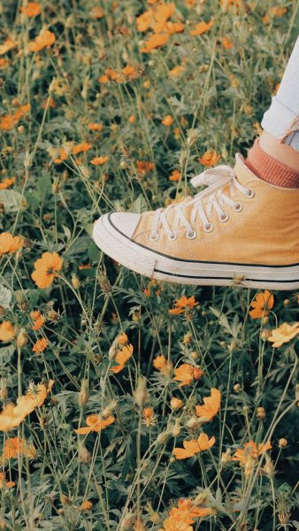 Кеды Эстетика