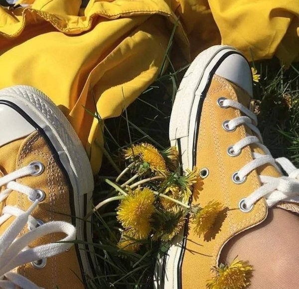 Оранжевые цветы Эстетика