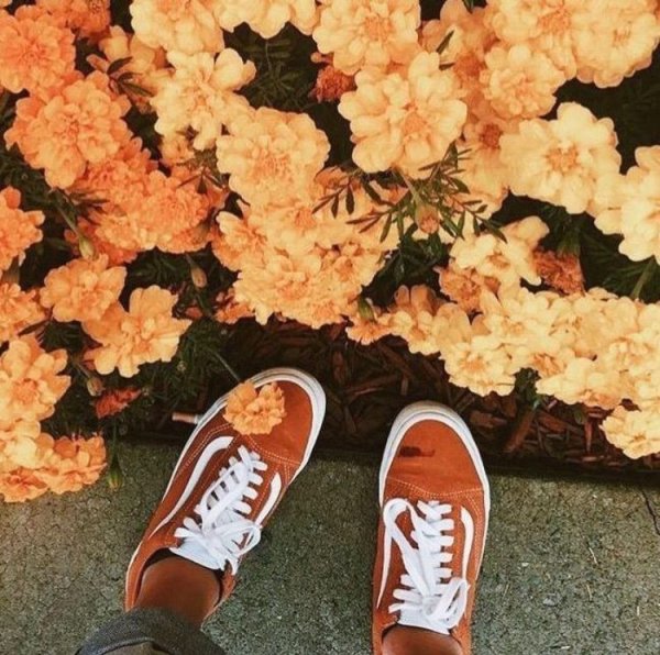 Найк красофкалар