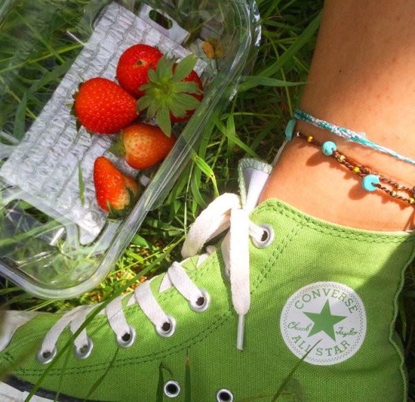 Кроссовок из цветов