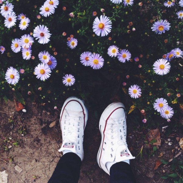 Стильная фотосессия с ромашками