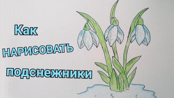 Рисунок подснежника для детей 3 класс