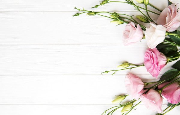 Акварельный цветочный фон