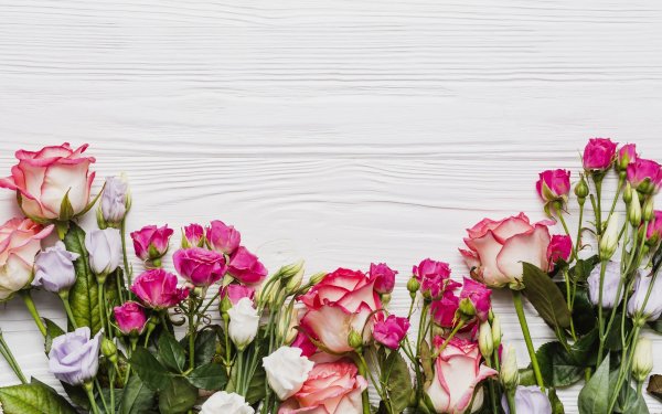 Нежные цветы в пастельных тонах