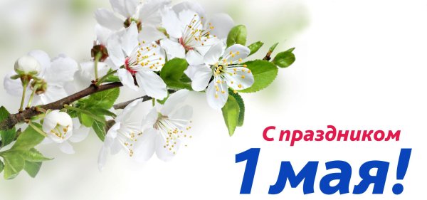 Майские праздники дизайн баннер
