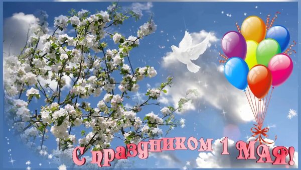 Букет цветов 1 мая