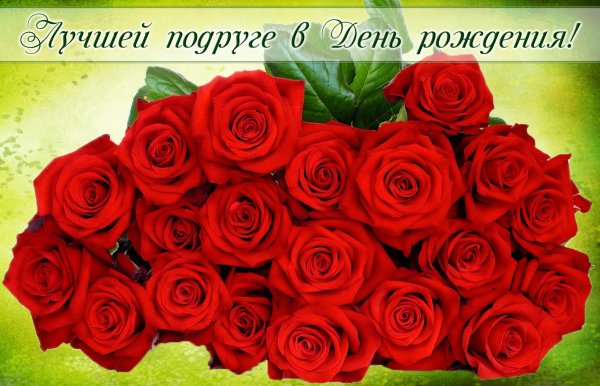Открытки с белыми розами