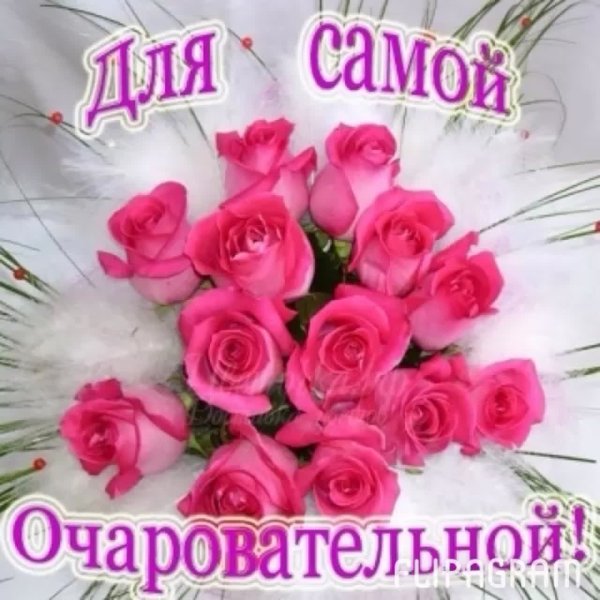 Красивый букет алых роз