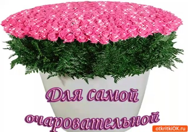 Шикарные букеты с пожеланиями