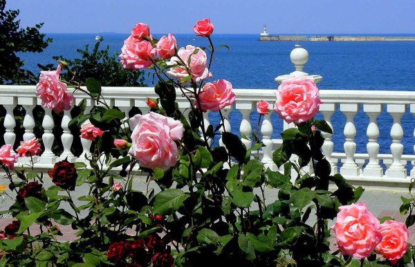 Приморский бульвар Адлер