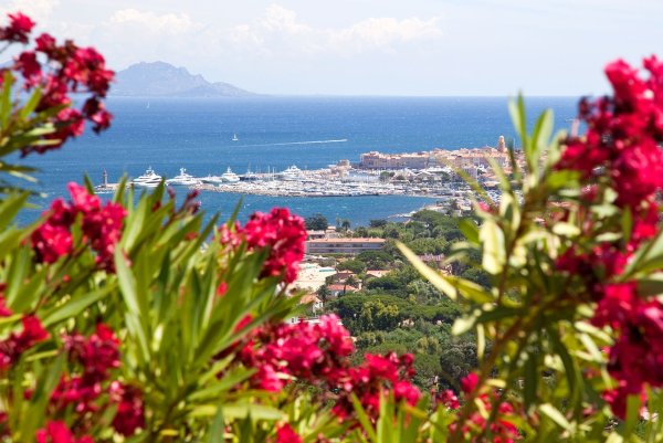 Сочи в мае 2022