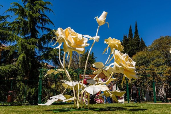 Цветущий Сочи