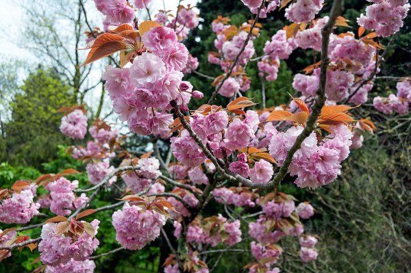 Сочи в марте