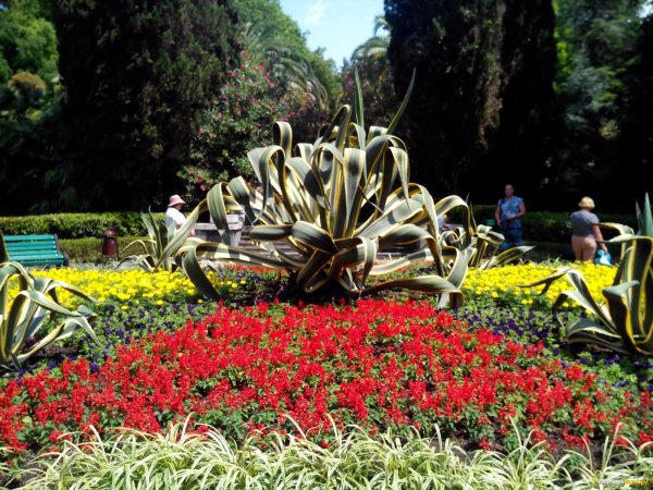 Сочи в марте