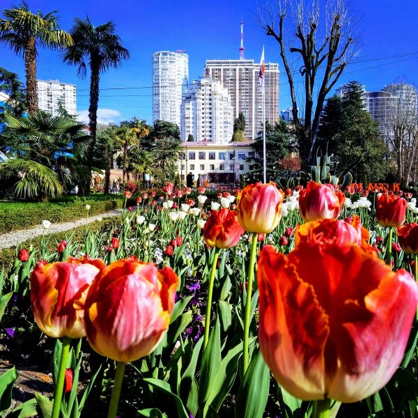 Ялта Крым Крымская Весна