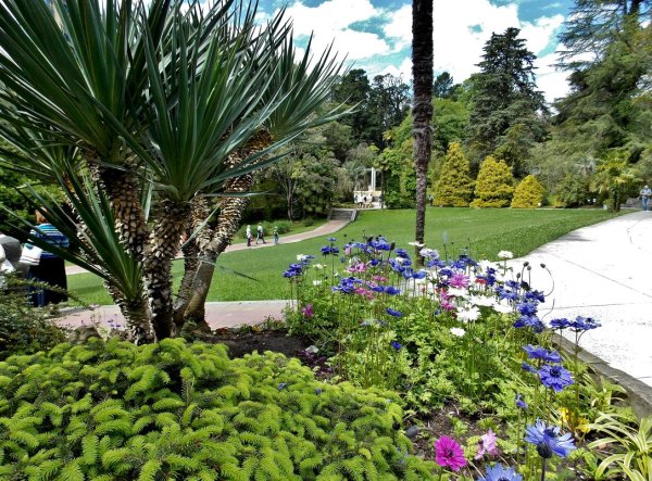 Черешневый сад цветет Сочи