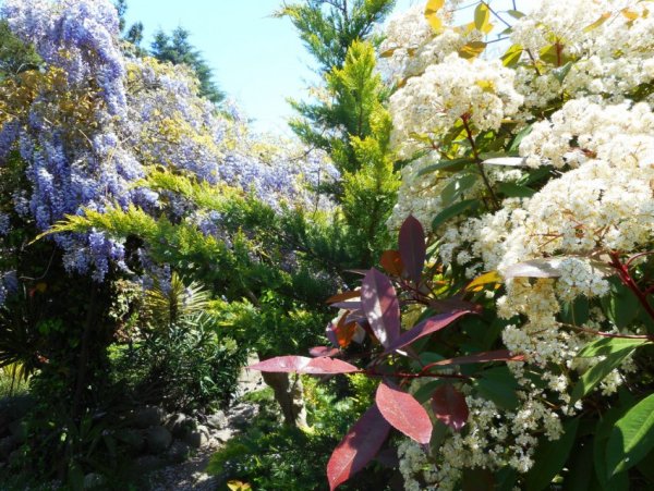 Сочинский национальный парк Дендрарий