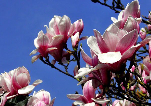 Турция весной Анталия