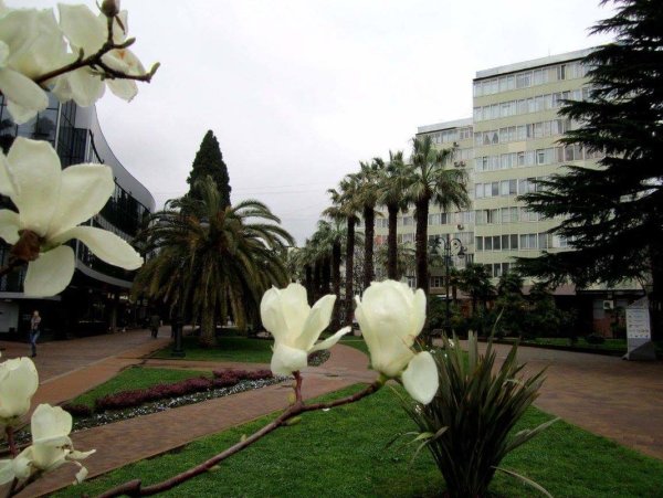 Розарий в сочинском дендрарии