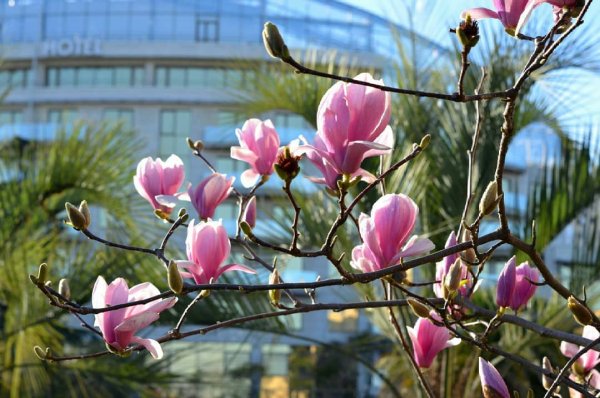 Рассвет красная Поляна Сочи