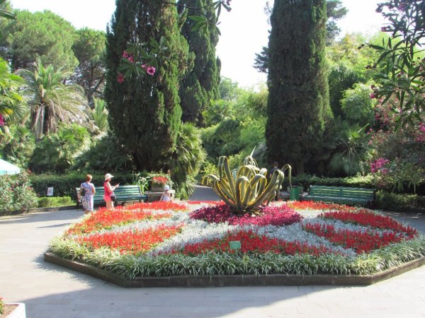 Рододендрон Архыз