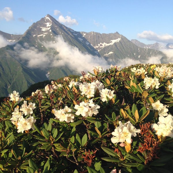 Красная Поляна горы