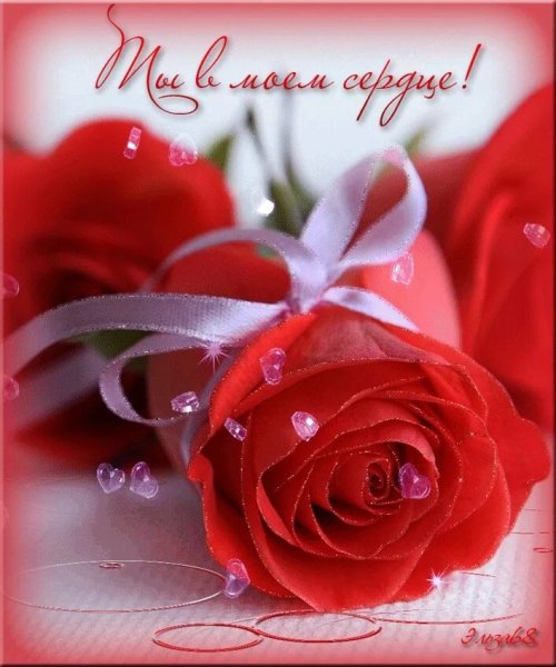 Цветочки для любимой