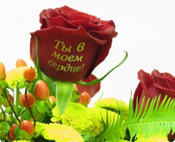 Розы с надписью