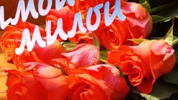 Розы для любимой женщины с надписями