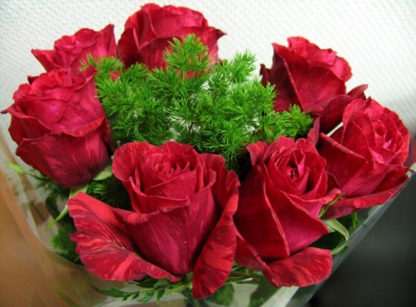 Красивой женщине красивые цветы