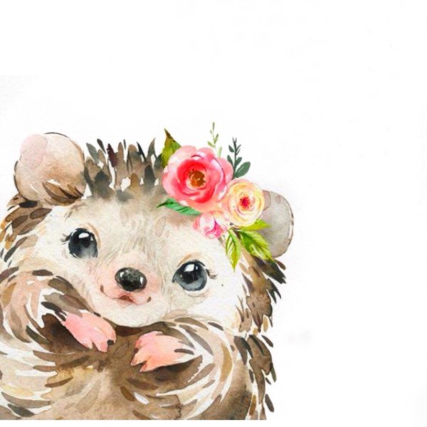 Зверюшки с букетом