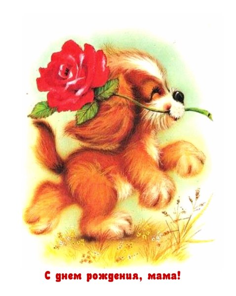 Зайчик с цветочком и бабочкой