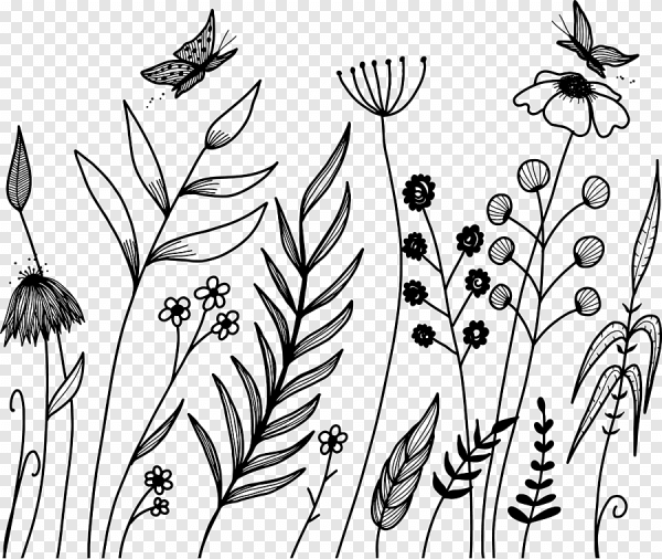 Васильки раскраска