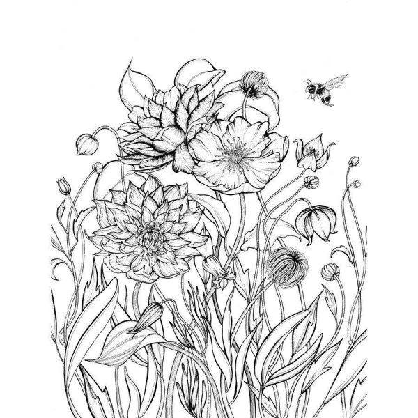 Календула разукрашка