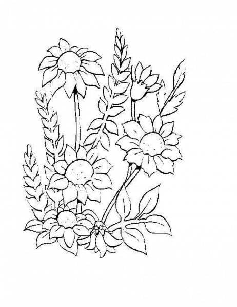 Лютик цветок