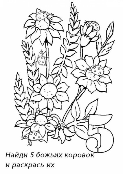 Полевые цветы раскраска