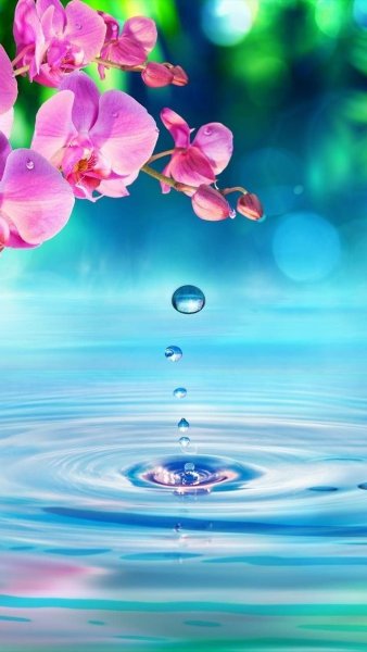 Фон с цветами