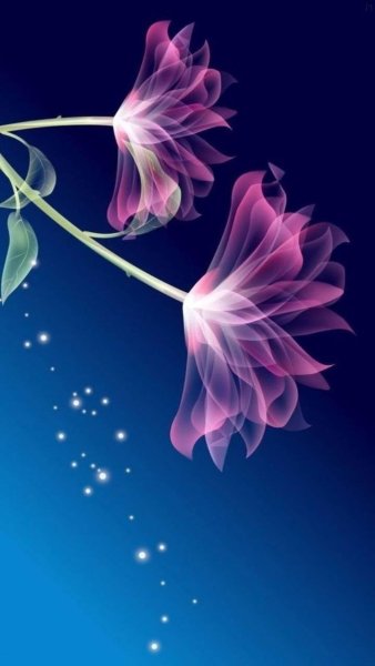 Красивые цветы вертикальные