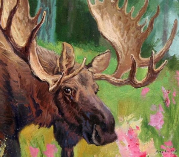 Рисование Лось в лесу