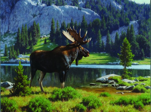 Европейский Лось