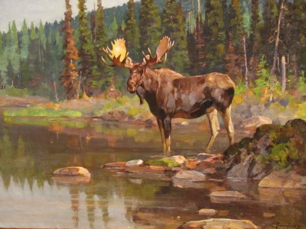 Лось в лесу