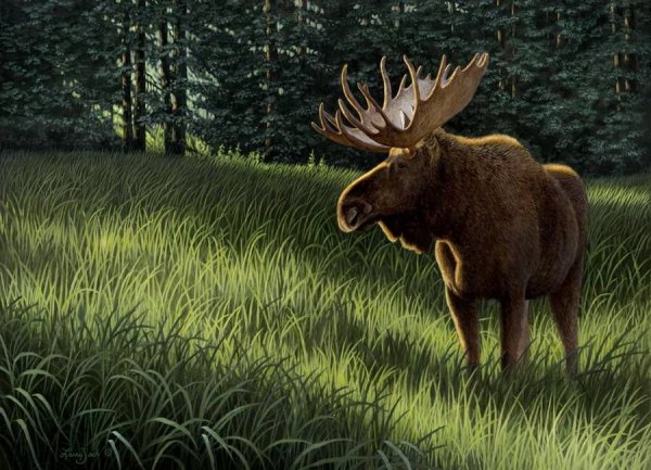 Лось акварелью