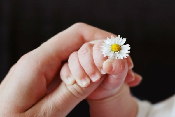 Ребенок с цветком в руках