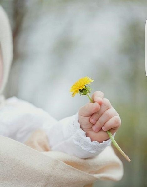 Ребенок с цветком в руках