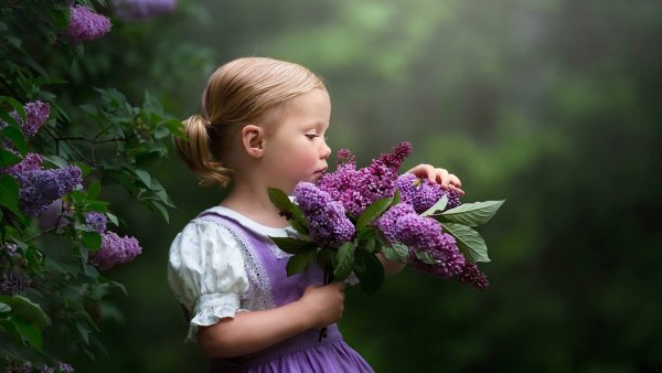 Цветы для детей